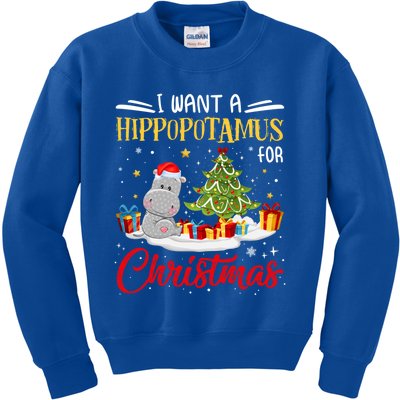 I Want A Hippopotamus For Christmas Xmas Hippo Christmas Gift Kids Sweatshirt