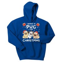 I Want A Pug For Christmas Cute Dogs Cool Gift Kids Hoodie