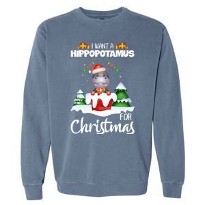 I Want A Hippopotamus For Christmas Xmas Cute Funny Gift Garment-Dyed Sweatshirt