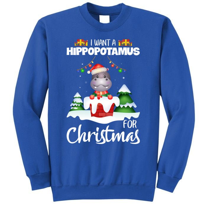 I Want A Hippopotamus For Christmas Xmas Cute Funny Gift Sweatshirt