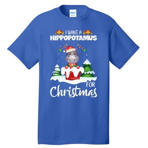 I Want A Hippopotamus For Christmas Xmas Cute Funny Gift Tall T-Shirt