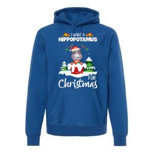 I Want A Hippopotamus For Christmas Xmas Cute Funny Gift Premium Hoodie