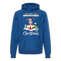 I Want A Hippopotamus For Christmas Xmas Cute Funny Gift Premium Hoodie