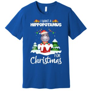 I Want A Hippopotamus For Christmas Xmas Cute Funny Gift Premium T-Shirt