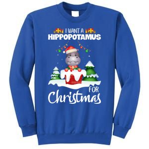 I Want A Hippopotamus For Christmas Xmas Cute Funny Gift Tall Sweatshirt