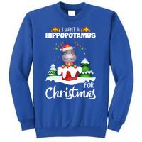 I Want A Hippopotamus For Christmas Xmas Cute Funny Gift Tall Sweatshirt