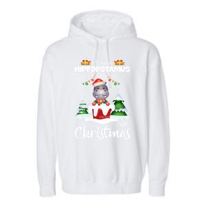 I Want A Hippopotamus For Christmas Xmas Cute Funny Gift Garment-Dyed Fleece Hoodie