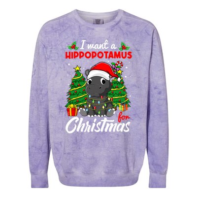 I Want A Hippopotamus For Christmas Xmas Boys Gift Colorblast Crewneck Sweatshirt