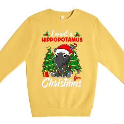 I Want A Hippopotamus For Christmas Xmas Boys Gift Premium Crewneck Sweatshirt