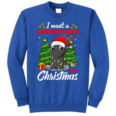 I Want A Hippopotamus For Christmas Xmas Boys Gift Sweatshirt