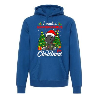 I Want A Hippopotamus For Christmas Xmas Boys Gift Premium Hoodie