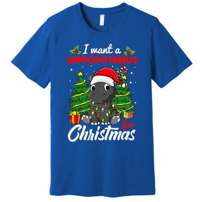 I Want A Hippopotamus For Christmas Xmas Boys Gift Premium T-Shirt