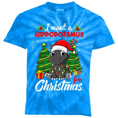 I Want A Hippopotamus For Christmas Xmas Boys Gift Kids Tie-Dye T-Shirt