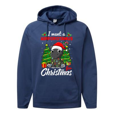 I Want A Hippopotamus For Christmas Xmas Boys Gift Performance Fleece Hoodie