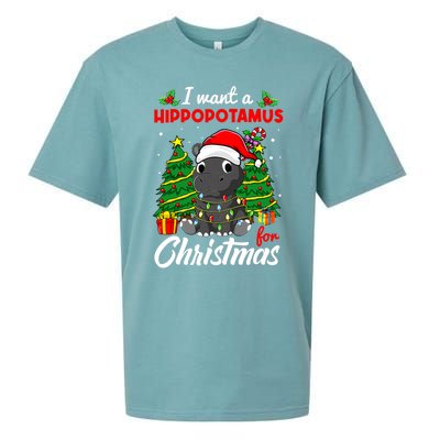 I Want A Hippopotamus For Christmas Xmas Boys Gift Sueded Cloud Jersey T-Shirt