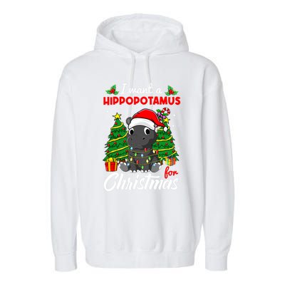 I Want A Hippopotamus For Christmas Xmas Boys Gift Garment-Dyed Fleece Hoodie