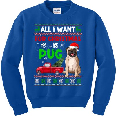 I Want A Pug For Christmas Ugly Sweater Dog Xmas Outfit Great Gift Kids Sweatshirt