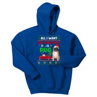 I Want A Pug For Christmas Ugly Sweater Dog Xmas Outfit Great Gift Kids Hoodie