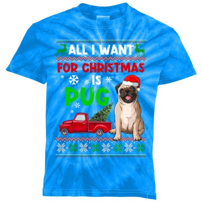 I Want A Pug For Christmas Ugly Sweater Dog Xmas Outfit Great Gift Kids Tie-Dye T-Shirt