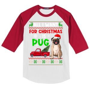 I Want A Pug For Christmas Ugly Sweater Dog Xmas Outfit Great Gift Kids Colorblock Raglan Jersey