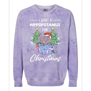 I Want A Hippopotamus For Christmas Xmas Cute Funny Gift Colorblast Crewneck Sweatshirt