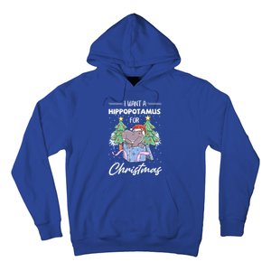 I Want A Hippopotamus For Christmas Xmas Cute Funny Gift Hoodie