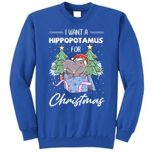 I Want A Hippopotamus For Christmas Xmas Cute Funny Gift Sweatshirt