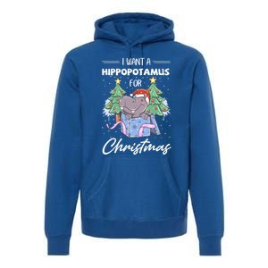 I Want A Hippopotamus For Christmas Xmas Cute Funny Gift Premium Hoodie