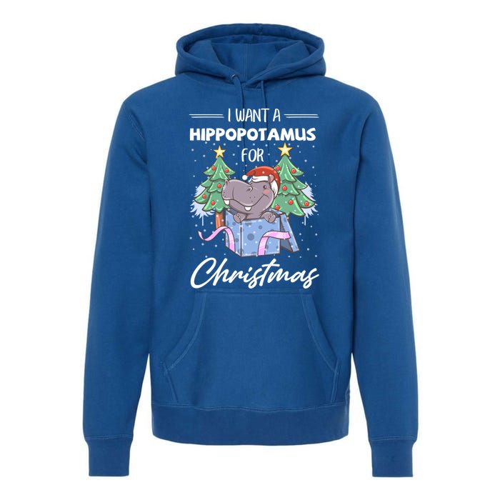 I Want A Hippopotamus For Christmas Xmas Cute Funny Gift Premium Hoodie