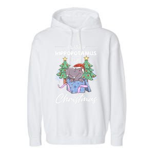 I Want A Hippopotamus For Christmas Xmas Cute Funny Gift Garment-Dyed Fleece Hoodie