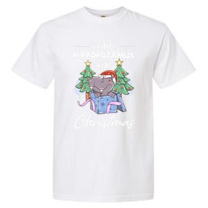 I Want A Hippopotamus For Christmas Xmas Cute Funny Gift Garment-Dyed Heavyweight T-Shirt