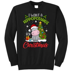 I Want A Hippopotamus For Christmas Xmas Hippo Sweatshirt