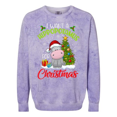 I Want A Hippopotamus For Christmas Xmas Hippo For Funny Gift Colorblast Crewneck Sweatshirt