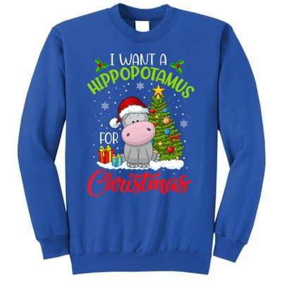 I Want A Hippopotamus For Christmas Xmas Hippo For Funny Gift Sweatshirt