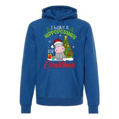 I Want A Hippopotamus For Christmas Xmas Hippo For Funny Gift Premium Hoodie