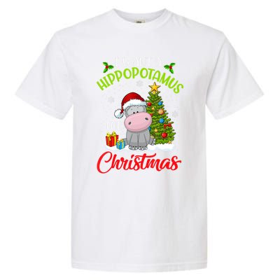 I Want A Hippopotamus For Christmas Xmas Hippo For Funny Gift Garment-Dyed Heavyweight T-Shirt