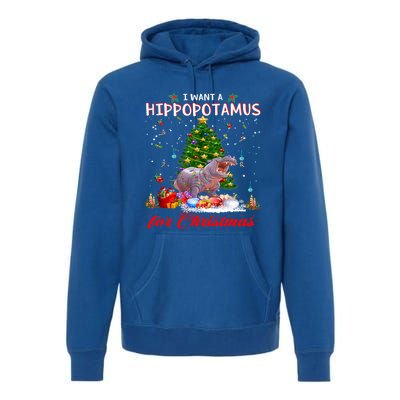 I Want A Hippopotamus For Christmas Xmas Hippo For Funny Gift Premium Hoodie