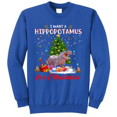 I Want A Hippopotamus For Christmas Xmas Hippo For Funny Gift Tall Sweatshirt