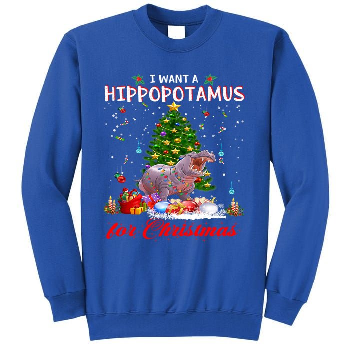 I Want A Hippopotamus For Christmas Xmas Hippo For Funny Gift Tall Sweatshirt