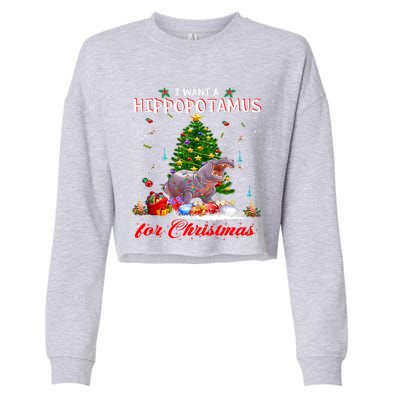 I Want A Hippopotamus For Christmas Xmas Hippo For Funny Gift Cropped Pullover Crew