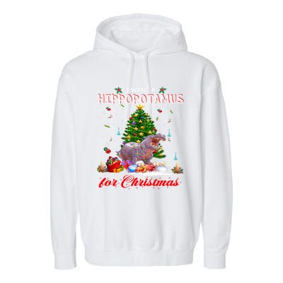 I Want A Hippopotamus For Christmas Xmas Hippo For Funny Gift Garment-Dyed Fleece Hoodie