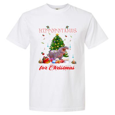 I Want A Hippopotamus For Christmas Xmas Hippo For Funny Gift Garment-Dyed Heavyweight T-Shirt