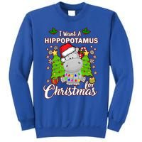 I Want A Hippopotamus For Christmas Xmas Pajama Costume Cute Gift Sweatshirt