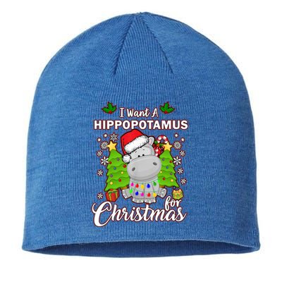 I Want A Hippopotamus For Christmas Xmas Pajama Costume Cute Gift Sustainable Beanie