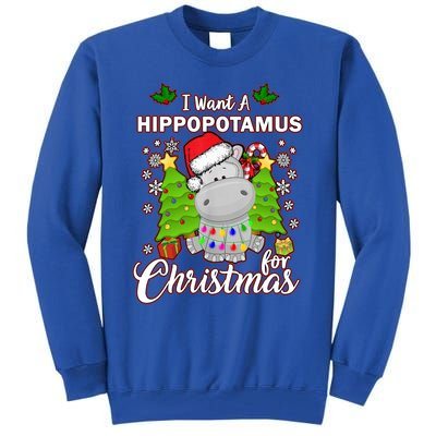 I Want A Hippopotamus For Christmas Xmas Pajama Costume Cute Gift Tall Sweatshirt