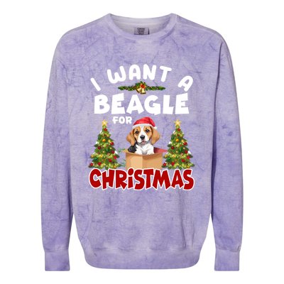 I Want A Beagle For Christmas Funny Beagle Mom Dog Lover Dad Cool Gift Colorblast Crewneck Sweatshirt