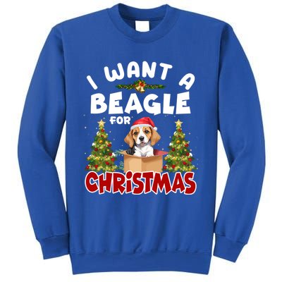 I Want A Beagle For Christmas Funny Beagle Mom Dog Lover Dad Cool Gift Sweatshirt