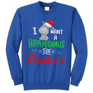 I Want A Hippopotamus For Christmas Xmas Cute Hippo Cute Cute Gift Sweatshirt