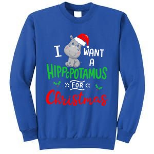 I Want A Hippopotamus For Christmas Xmas Cute Hippo Cute Cute Gift Tall Sweatshirt