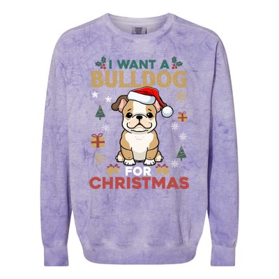 I Want A Bulldog For Christmas Cute Dog Lover Family Pajama Gift Colorblast Crewneck Sweatshirt